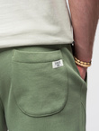 Spodnie męskie dresowe typu jogger - zielone V3 OM-PABS-0173