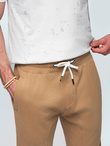 Spodnie męskie dresowe typu jogger - brązowe V2 OM-PABS-0173