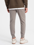Men's ottoman fabric sweatpants - ash V4 OM-PASK-0129