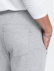 Men's carrot cut sweatpants - grey melange V3 OM-PASK-0166